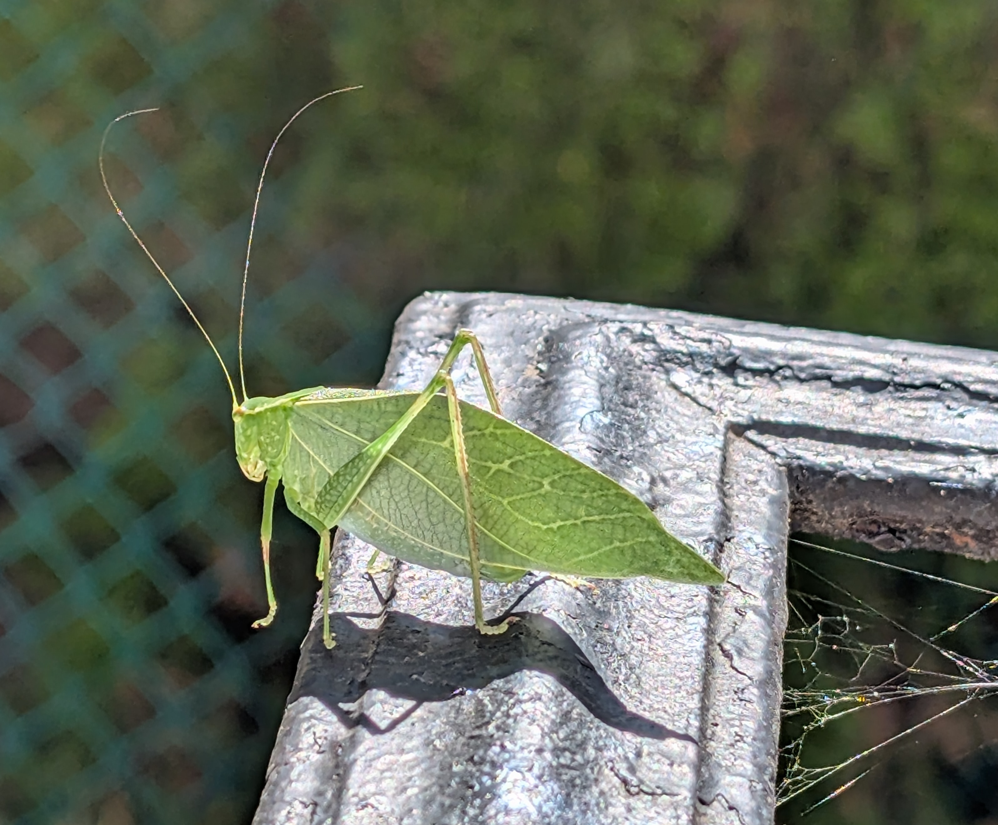 Pencil, chair, courage