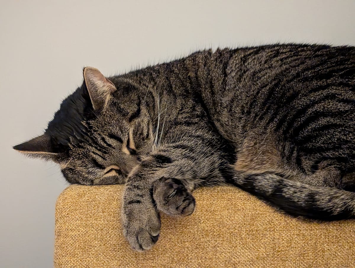 Daydream and dead end