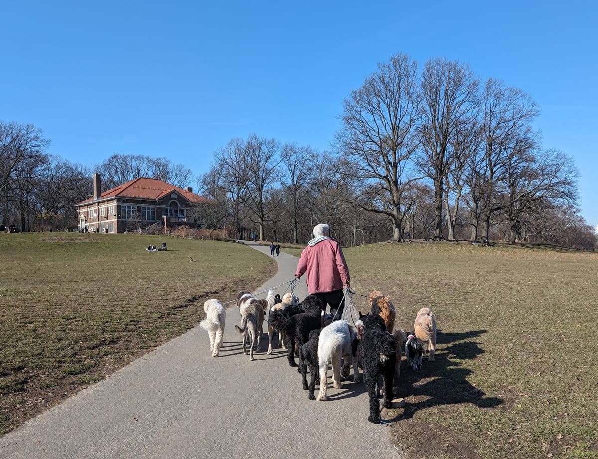 What to look for, in winter