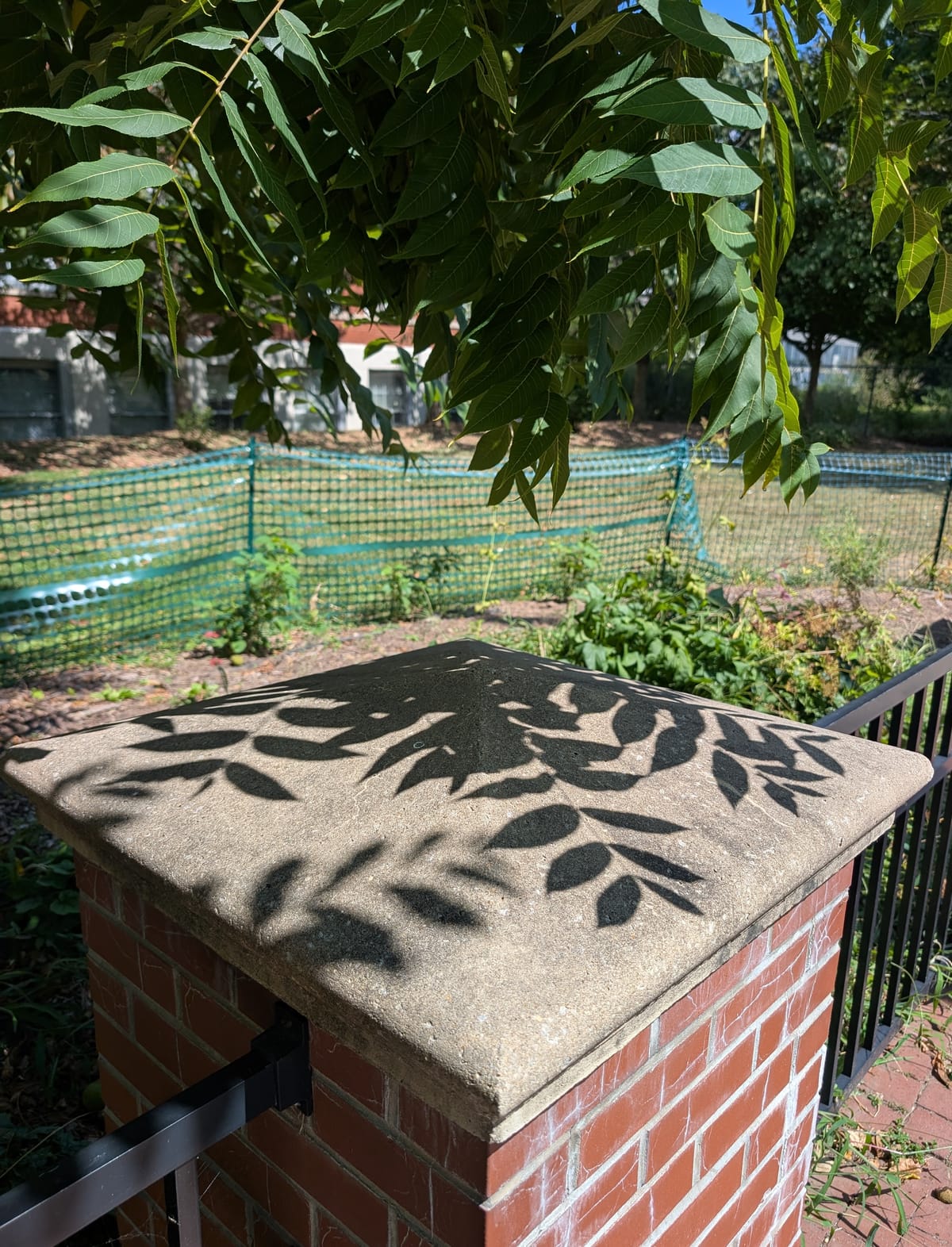 Pencil, chair, courage