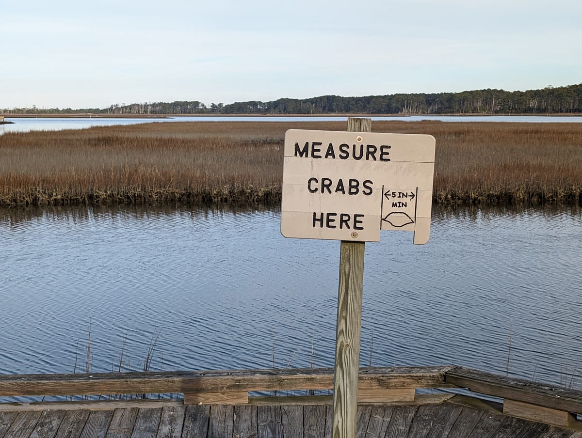 "Measure Crabs Here."