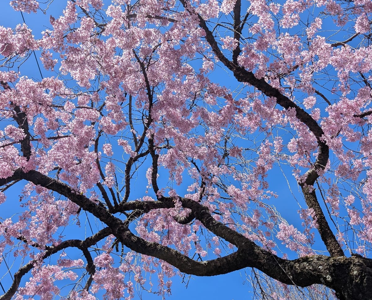 "I sat outside your office."