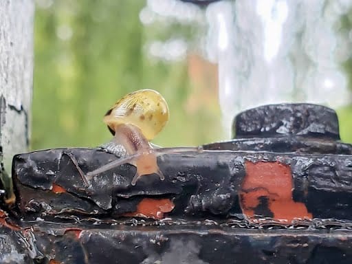 A cat is a noise sink.