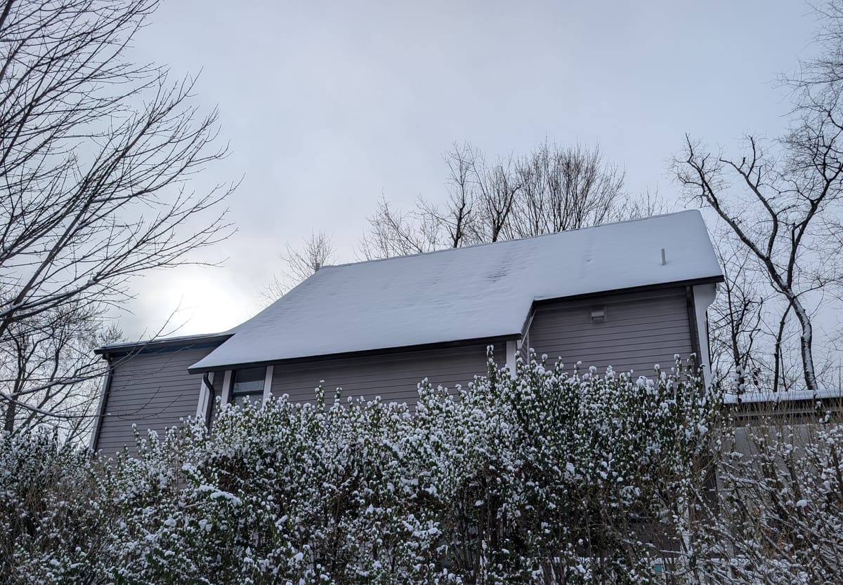 A sprig of something festive