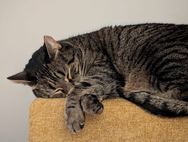 Daydream and dead end