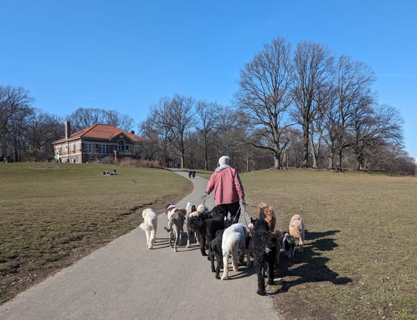 What to look for, in winter