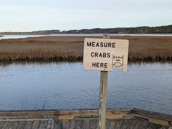 "Measure Crabs Here."