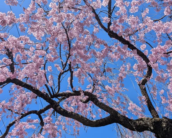 "I sat outside your office."