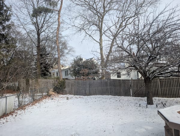 The book is not a tote.