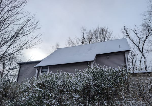 A sprig of something festive